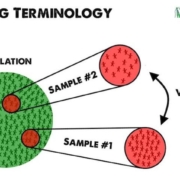 A/B testing statistics for non-mathematicians: the complexities of sampling simplified.