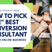 Here is a list of questions you may - and should - ask before you choose the best conversion optimization consultant for your online business.