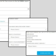 HubSpot Form