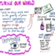 INFOGRAPH: Tim Hayden-Mobile Social Intelligence Part 2
