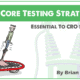 7 Core AB Testing Strategies Essential to CRO