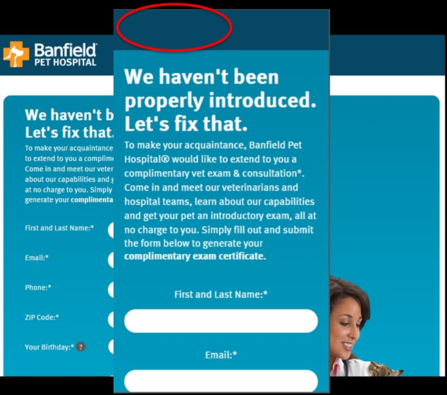 Banfield's responsive web design decided the company logo wasn't important on small-screens.