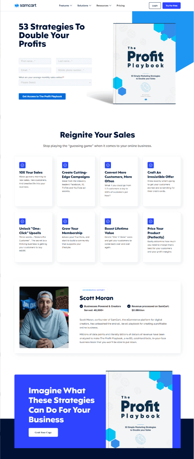 Landing page offering an ebook with strategies to double your profits