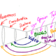 Social Conversion Strategies