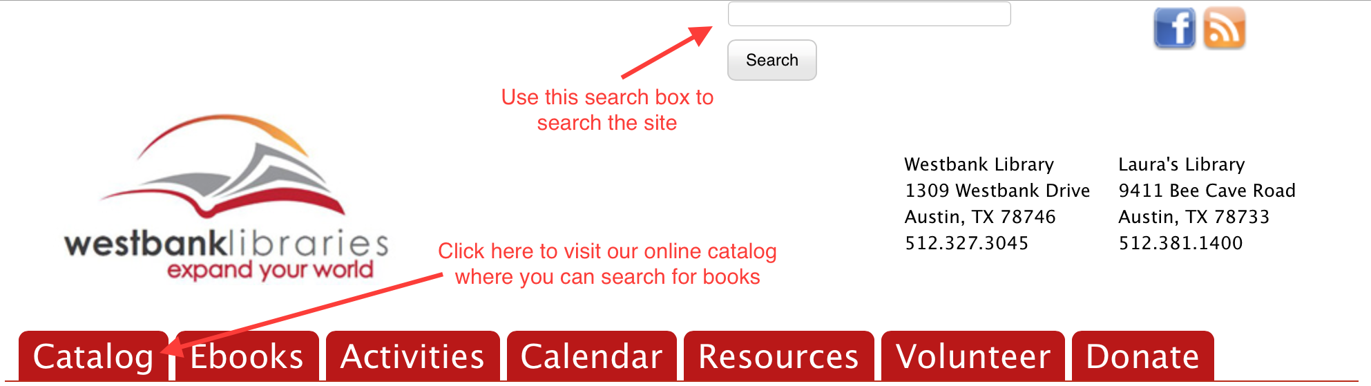 Our search bar at the launch of our new site.