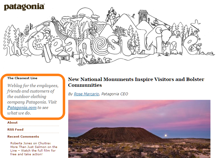 Patagonia's employee blog shares their outdoor adventure experiences and insights, it doesn't directly sell any Patagonia products