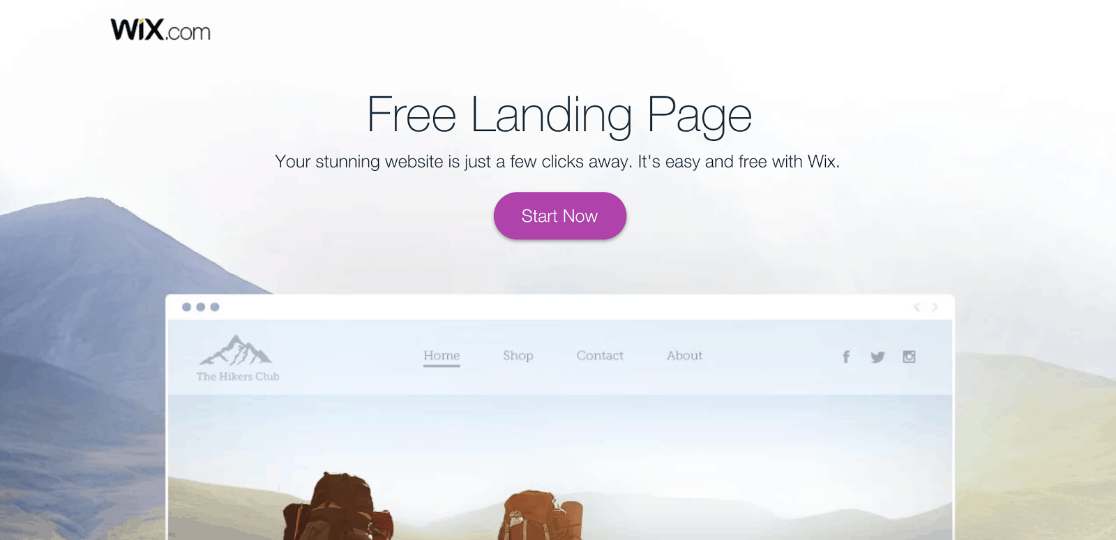 Thsi page does not tell the reader what a landing page is.