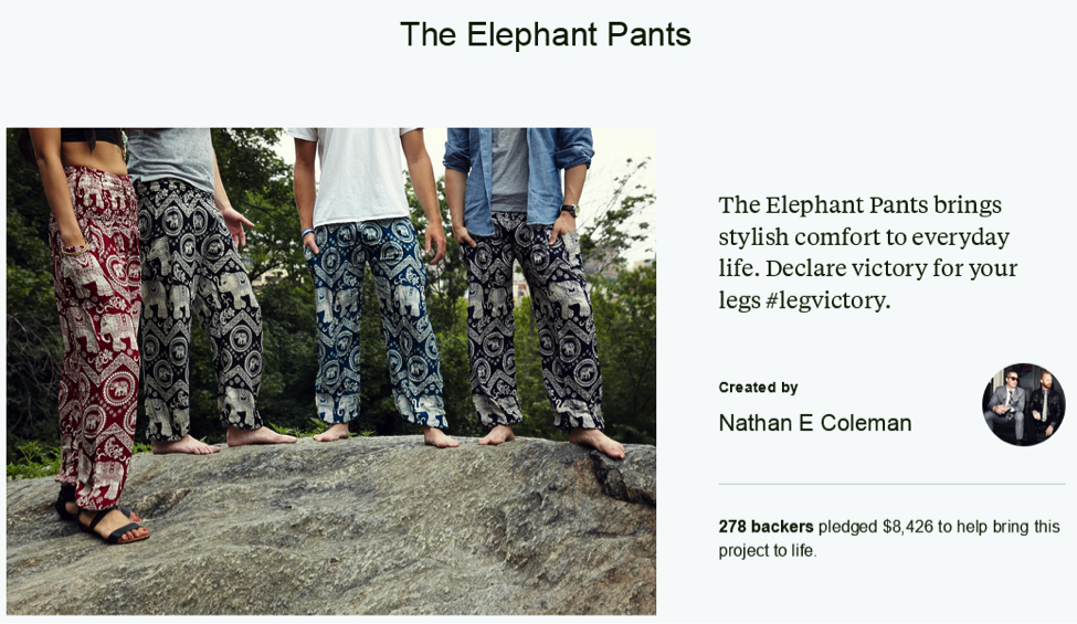 The Elephant Pants' quiz helped bring in the support of enough backers to launch their company